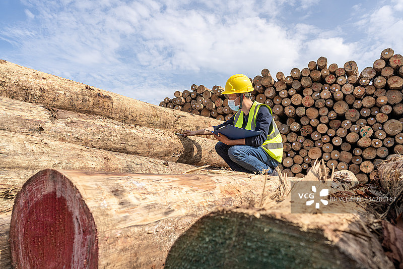 男码头工人在港口的木材配送中心工作图片素材