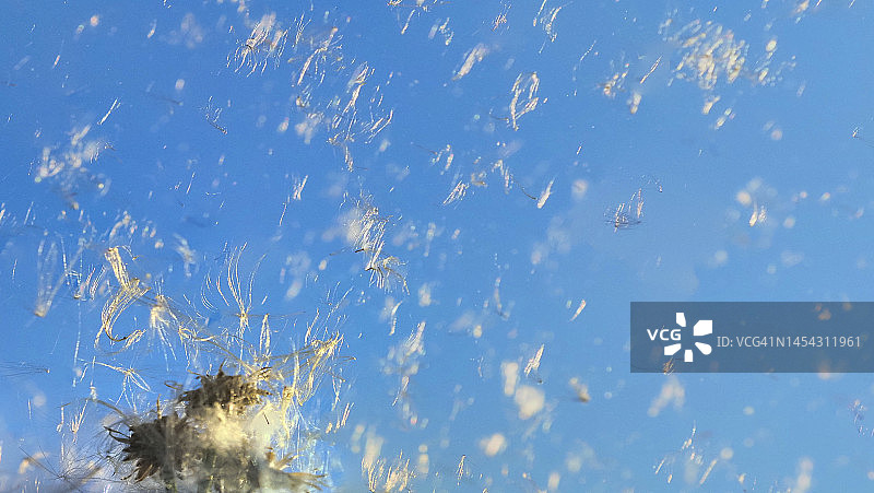 无限供应图片素材