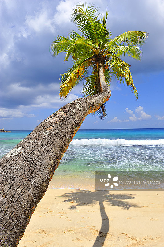 塞舌尔马埃岛安斯塔卡马卡图片素材