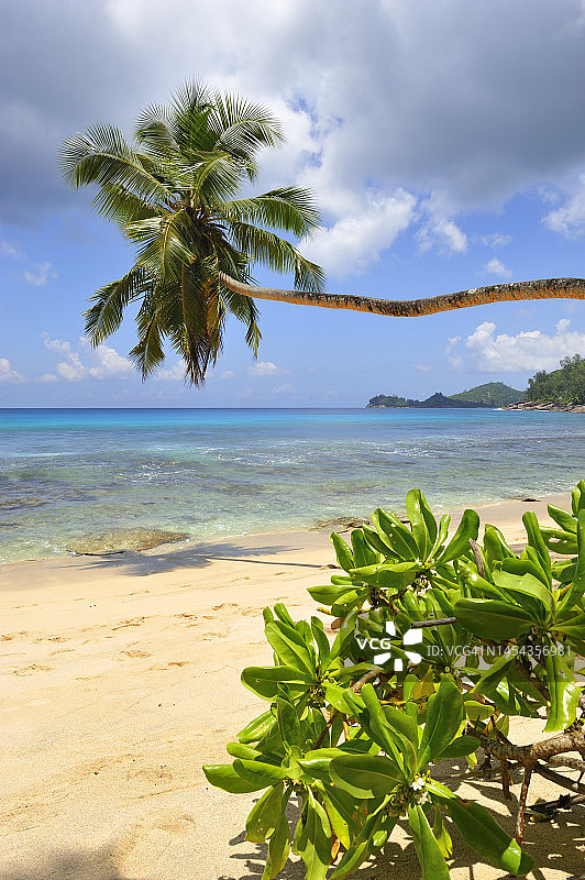 塞舌尔马埃岛安斯塔卡马卡图片素材