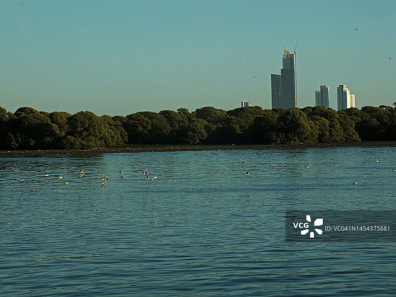 海边的城市天际线图片素材