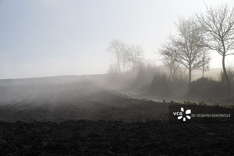 克尔泽斯雾中农业田地图片素材