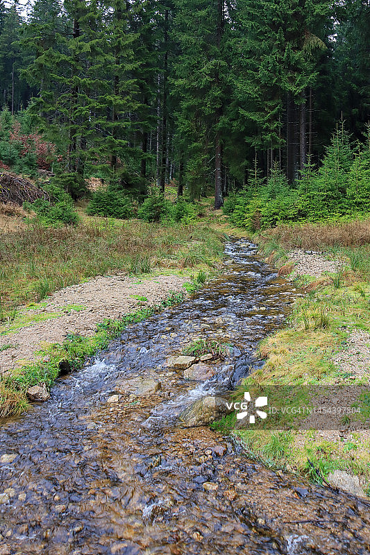 捷克森林图片素材
