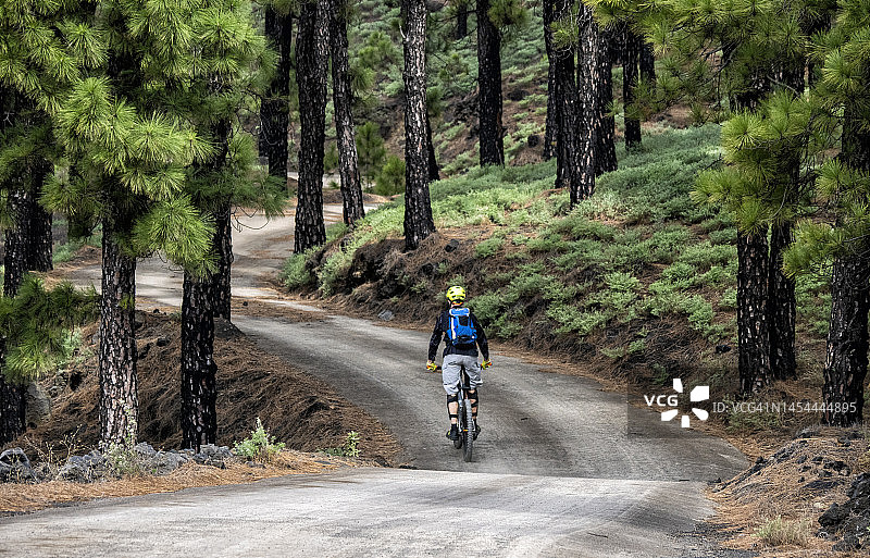 山路与骑山地自行车的骑行者图片素材
