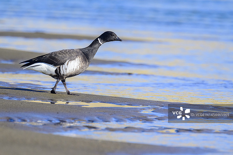 墨西哥南下加利福尼亚州图片素材