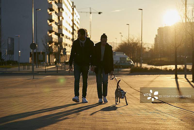 一对白人情侣在逆光下牵着狗散步图片素材