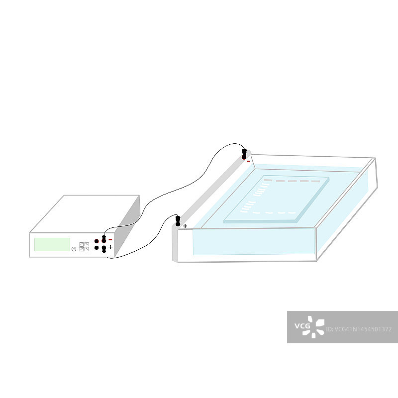 用于DNA检测的琼脂糖凝胶电泳技术图片素材
