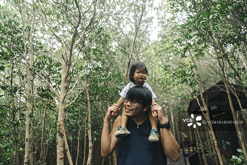 亚洲幼儿骑在父亲肩上在红树林周围休闲玩耍图片素材