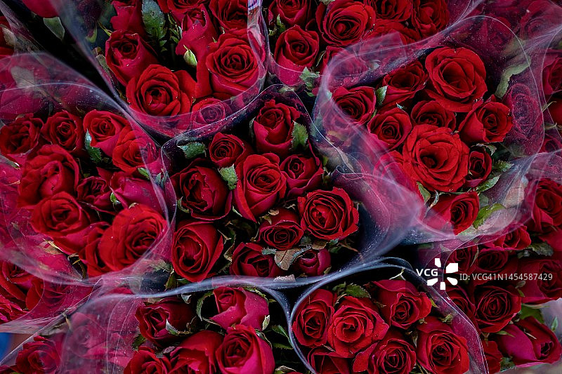 玫瑰花束特写图片素材