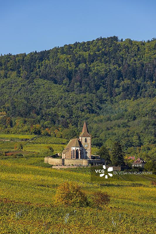 法国阿尔萨斯葡萄园秋景，圣雅克教堂图片素材