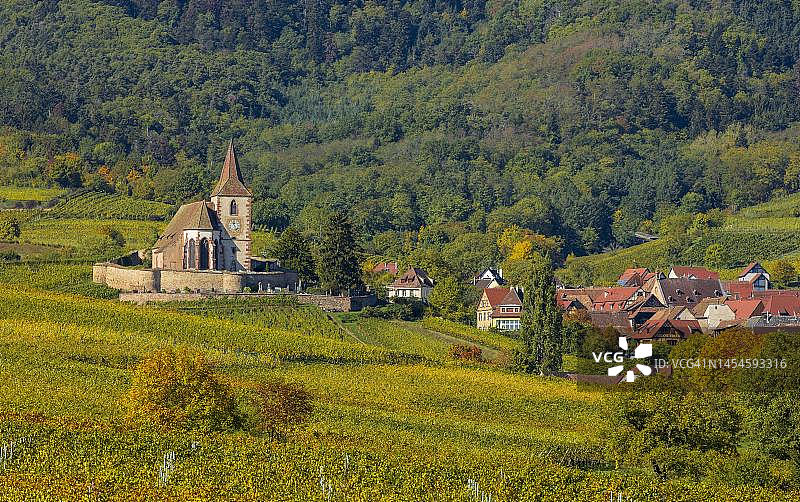 法国阿尔萨斯葡萄园秋景，圣雅克教堂图片素材