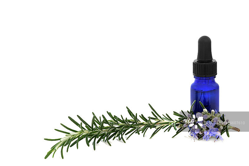 迷迭香草药香薰精油图片素材