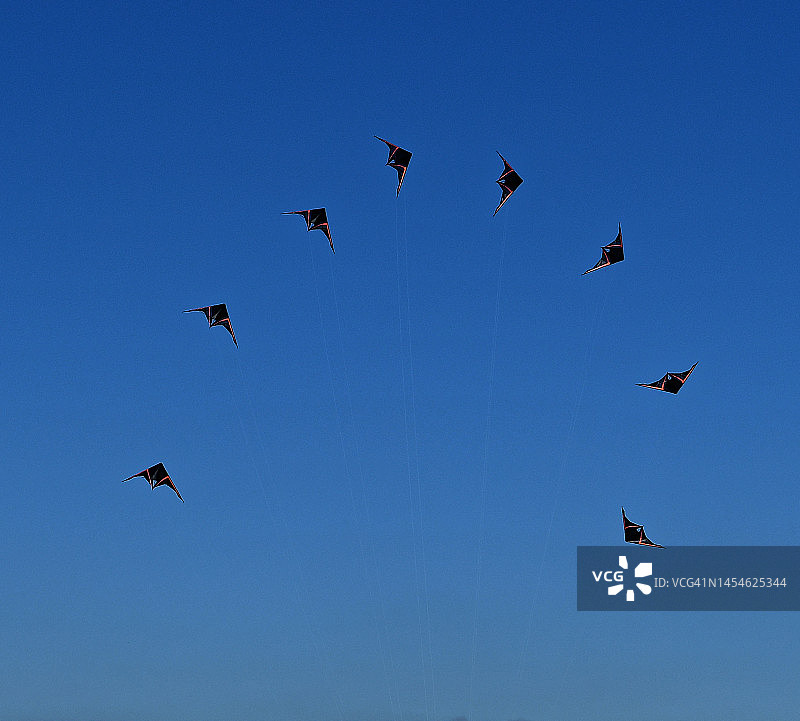 八只杂技风筝图片素材