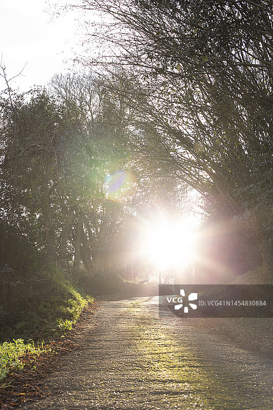 小路尽头的亮光图片素材