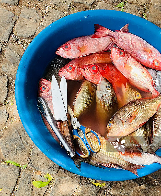 碗里的佛得角鱼图片素材