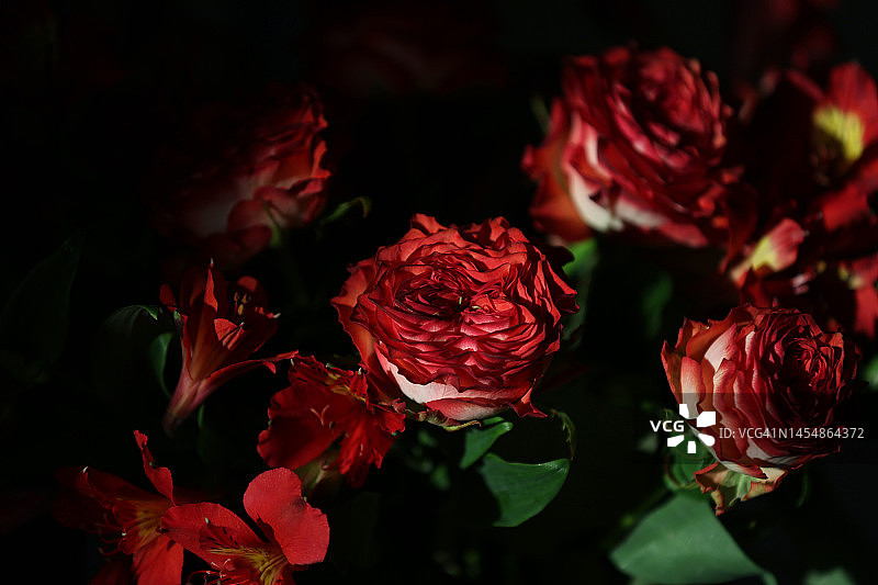 陶瓷花瓶中鲜艳的红玫瑰和六出花花束，环境光图片素材