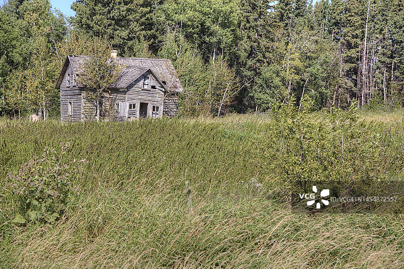 森林里的老木屋图片素材