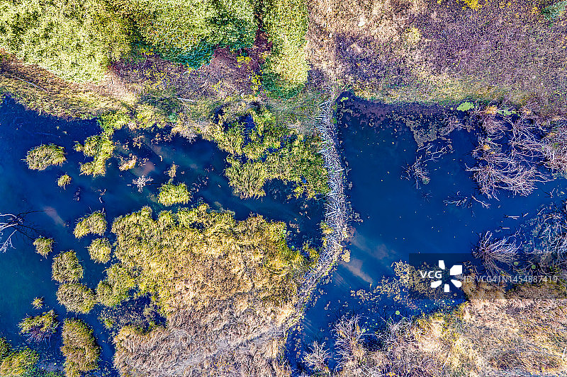 海狸水坝的鸟瞰图图片素材