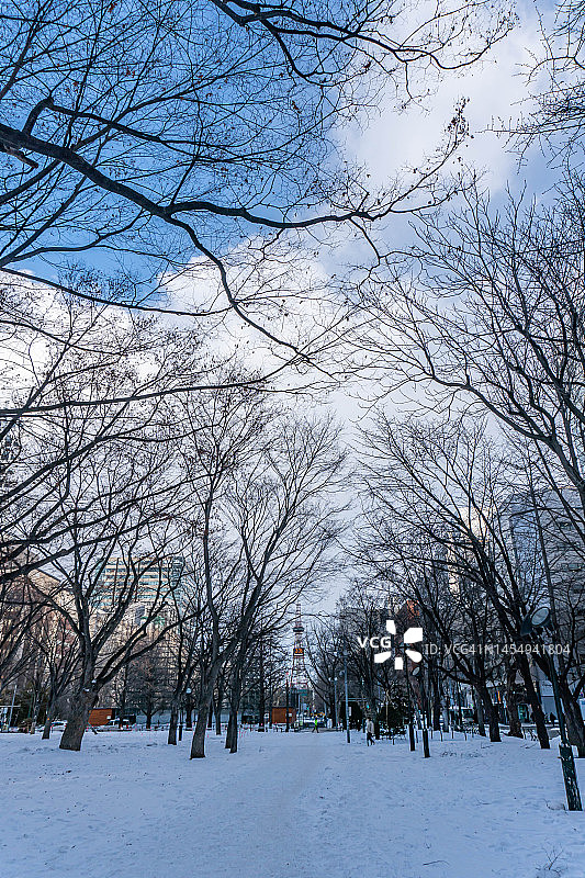 日本札幌市大通公园。图片素材