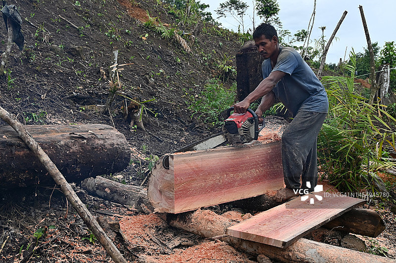男人用电锯砍木头——库存照片，滥伐森林图片素材