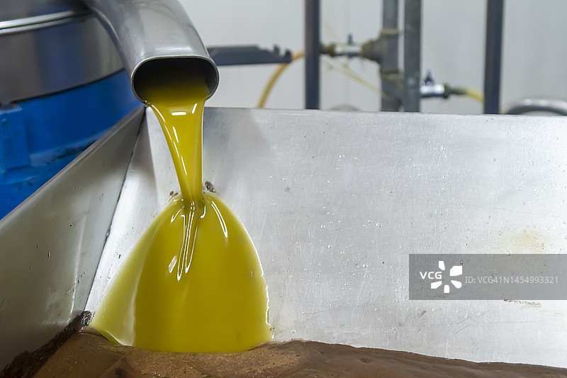 提取橄榄油图片素材