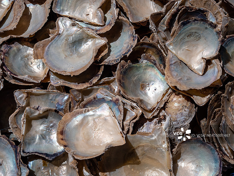 越南下龙湾的珍珠母贝壳堆图片素材