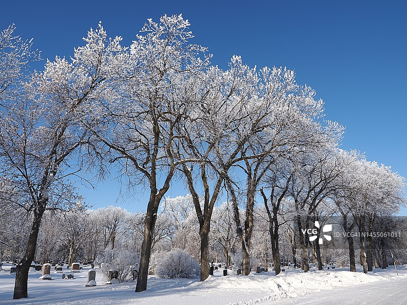 布鲁克赛德公墓的冬霜图片素材