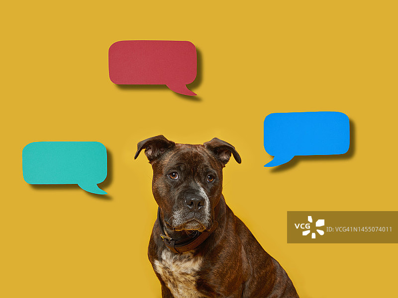 带多个对话气泡的狗图片素材