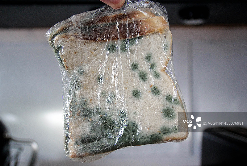 三明治图片素材