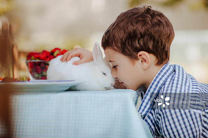 小男孩在花园里抚摸兔子图片素材