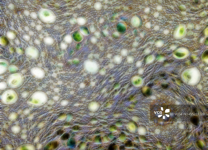 液体气泡和绿色霓虹灯抽象背景图片素材