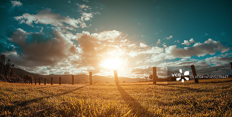 日出时分的田野图片素材