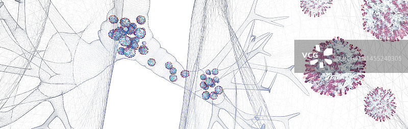 呼吸道合胞病毒颗粒图片素材