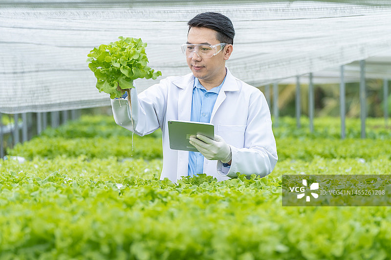 男科学家在温室中检查植物生长情况图片素材