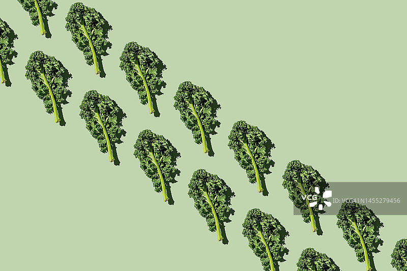 绿色背景上的新鲜有机羽衣甘蓝叶图案：健康食品、饮食和排毒概念图片素材