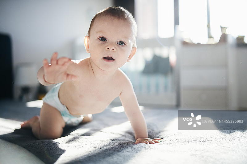刚学会爬行图片素材