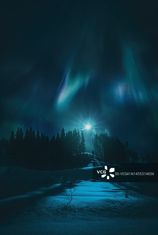 冬季森林月光和北极光图片素材