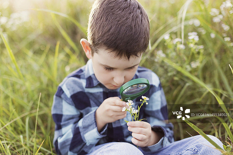 用放大镜观察花朵的男孩图片素材