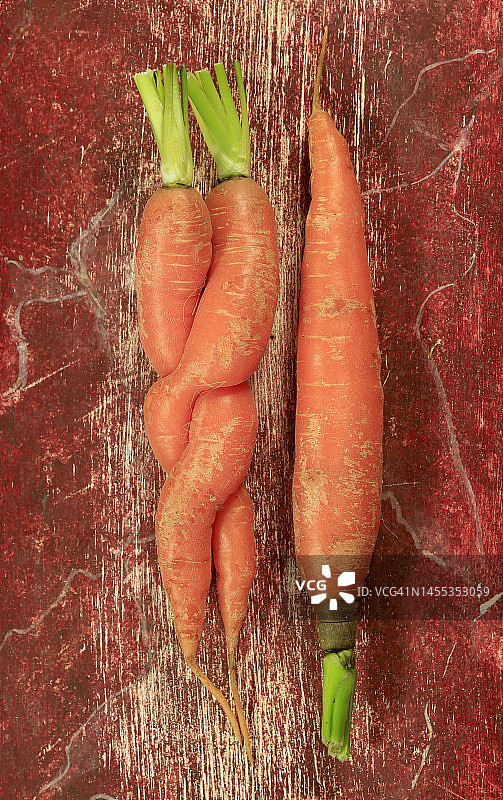 缠绕的胡萝卜和单根胡萝卜图片素材