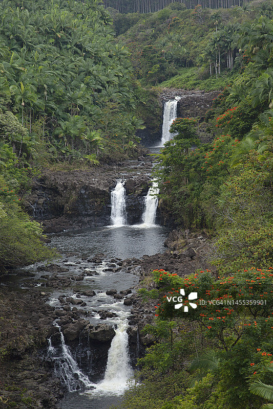 热带植物环绕的山坡上倾泻而下的多条瀑布图片素材