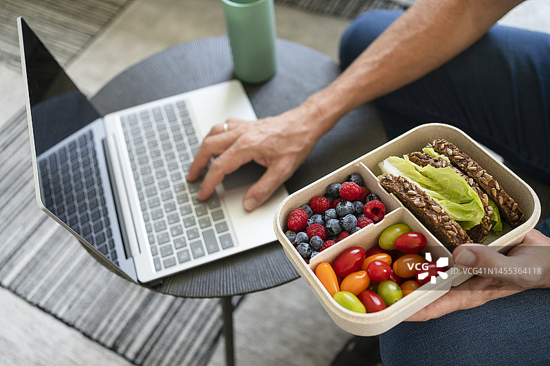 男子在家手拿健康午餐盒使用电脑图片素材