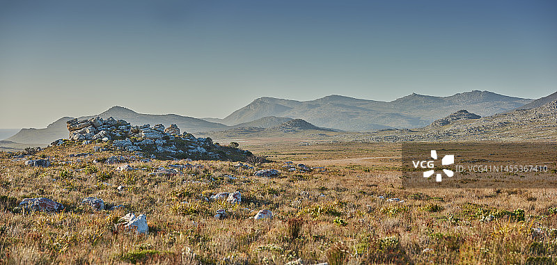 Cape Point国家公园的荒野图片素材
