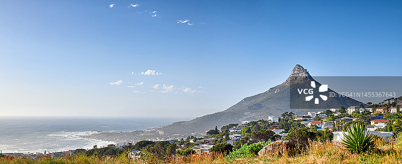 狮子头图片素材