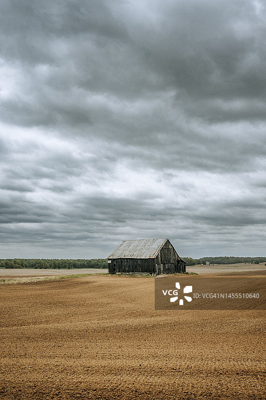 肯塔基州农田中废弃的旧风化谷仓图片素材