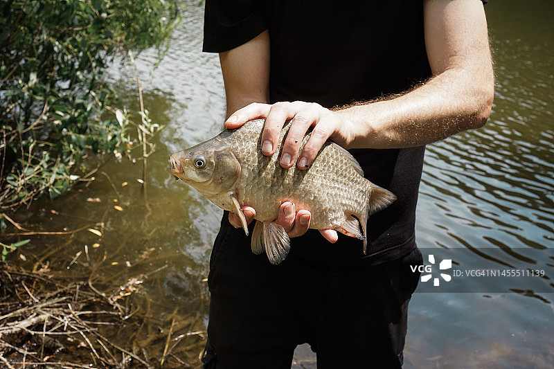 渔民手中新鲜捕获的鲤鱼特写图片素材