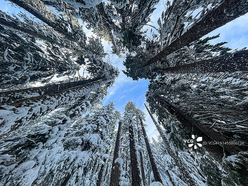 冬季的威拉米特图片素材