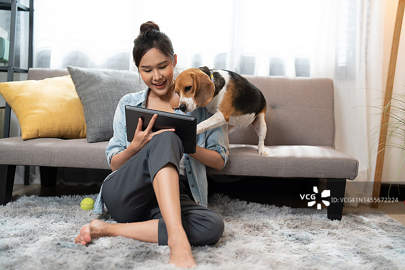 年轻漂亮的亚洲女性与比格犬一起在数位板电脑上看电影，居家放松的简单生活方式图片素材