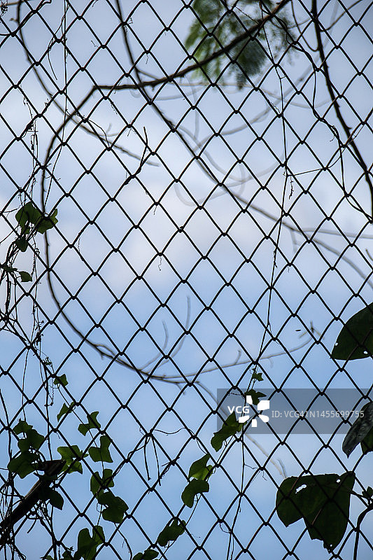 铁丝网围栏特写镜头图片素材