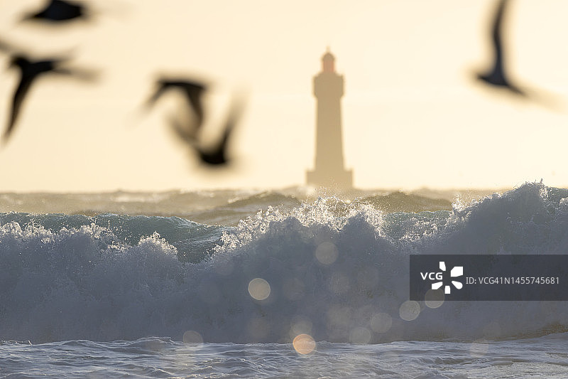 布列塔尼海浪与母马灯塔图片素材