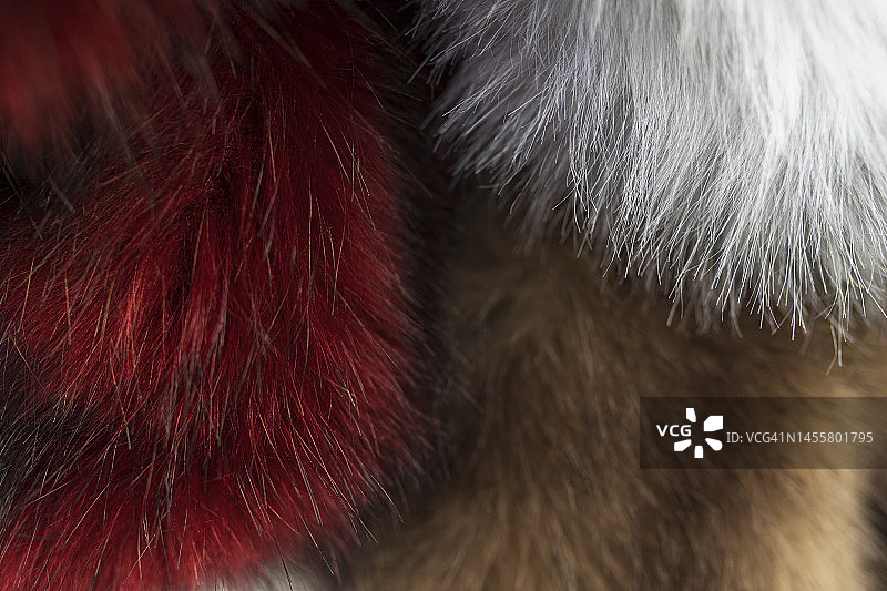 绒球特写图片素材